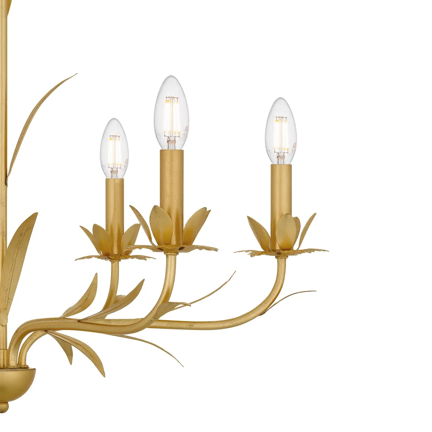 QUOIZEL, MARIA CHANDELIER, CHANDELIER LIGHT