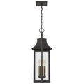 QUOIZEL, MANNING PENDANT, PENDANT LIGHT
