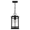 QUOIZEL, MCALISTER PENDANT, PENDANT LIGHT