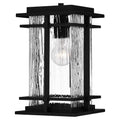 QUOIZEL, MCALISTER PENDANT, PENDANT LIGHT