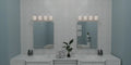 QUOIZEL, NIELSON BATH LIGHT, BATH VANITY LIGHT