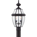 QUOIZEL, NEWBURY OUTDOOR LANTERN, OUTDOOR CEILING LIGHTS
