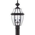 QUOIZEL, NEWBURY OUTDOOR LANTERN, OUTDOOR CEILING LIGHTS