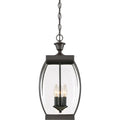 QUOIZEL, OASIS PENDANT, PENDANT LIGHT