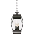 QUOIZEL, OASIS PENDANT, PENDANT LIGHT