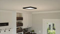 QUOIZEL, OUTSKIRTS FLUSH MOUNT, FLUSH MOUNT CEILING LIGHTS