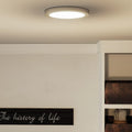 QUOIZEL, OUTSKIRTS FLUSH MOUNT, FLUSH MOUNT CEILING LIGHTS