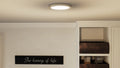 QUOIZEL, OUTSKIRTS FLUSH MOUNT, FLUSH MOUNT CEILING LIGHTS