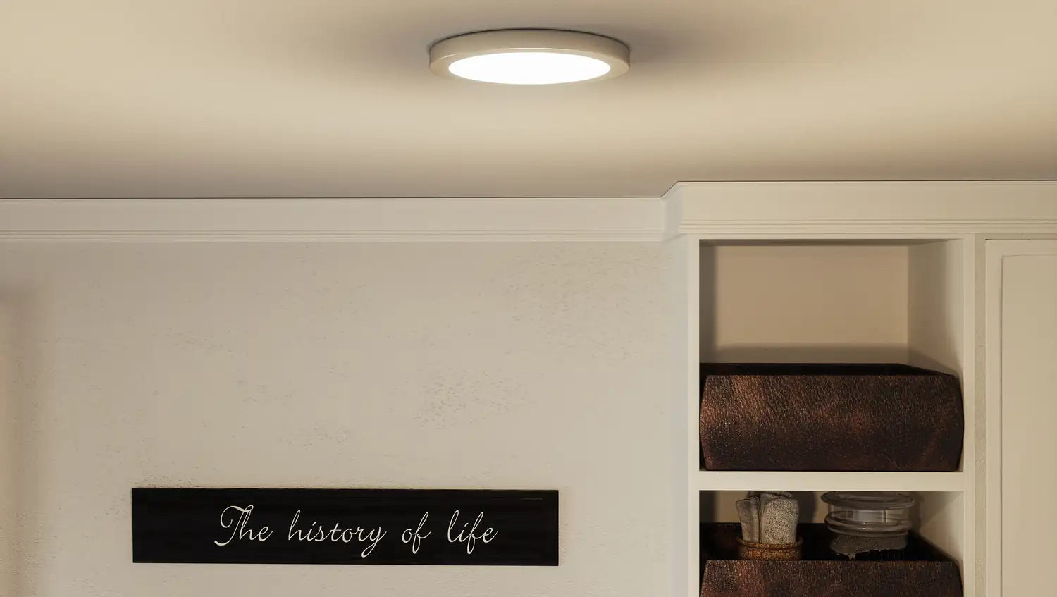 QUOIZEL, OUTSKIRTS FLUSH MOUNT, FLUSH MOUNT CEILING LIGHTS