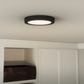 QUOIZEL, OUTSKIRTS FLUSH MOUNT, FLUSH MOUNT CEILING LIGHTS