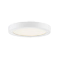 QUOIZEL, OUTSKIRTS FLUSH MOUNT, FLUSH MOUNT CEILING LIGHTS