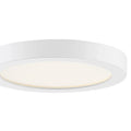 QUOIZEL, OUTSKIRTS FLUSH MOUNT, FLUSH MOUNT CEILING LIGHTS