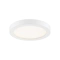 QUOIZEL, OUTSKIRTS FLUSH MOUNT, FLUSH MOUNT CEILING LIGHTS