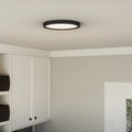 QUOIZEL, OUTSKIRTS FLUSH MOUNT, FLUSH MOUNT CEILING LIGHTS