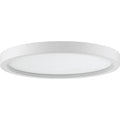 QUOIZEL, OUTSKIRTS FLUSH MOUNT, FLUSH MOUNT CEILING LIGHTS
