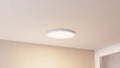 QUOIZEL, OUTSKIRTS FLUSH MOUNT, FLUSH MOUNT CEILING LIGHTS