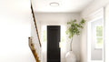 QUOIZEL, OUTSKIRTS FLUSH MOUNT, FLUSH MOUNT CEILING LIGHTS