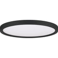 QUOIZEL, OUTSKIRTS FLUSH MOUNT, FLUSH MOUNT CEILING LIGHTS