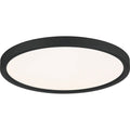 QUOIZEL, OUTSKIRTS FLUSH MOUNT, FLUSH MOUNT CEILING LIGHTS