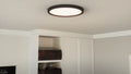 QUOIZEL, OUTSKIRTS FLUSH MOUNT, FLUSH MOUNT CEILING LIGHTS