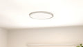 QUOIZEL, OUTSKIRTS FLUSH MOUNT, FLUSH MOUNT CEILING LIGHTS