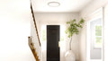 QUOIZEL, OUTSKIRTS FLUSH MOUNT, FLUSH MOUNT CEILING LIGHTS