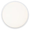 QUOIZEL, OUTSKIRTS FLUSH MOUNT, FLUSH MOUNT CEILING LIGHTS