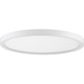 QUOIZEL, OUTSKIRTS FLUSH MOUNT, FLUSH MOUNT CEILING LIGHTS