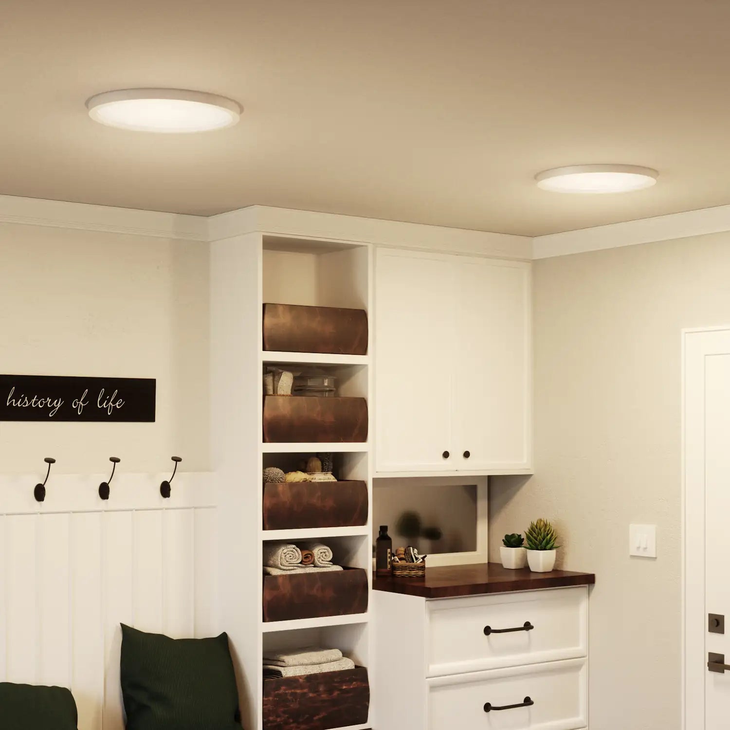 QUOIZEL, OUTSKIRTS FLUSH MOUNT, FLUSH MOUNT CEILING LIGHTS