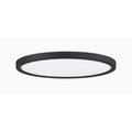 QUOIZEL, OUTSKIRTS FLUSH MOUNT, FLUSH MOUNT CEILING LIGHTS