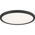 QUOIZEL, OUTSKIRTS FLUSH MOUNT, FLUSH MOUNT CEILING LIGHTS