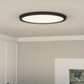 QUOIZEL, OUTSKIRTS FLUSH MOUNT, FLUSH MOUNT CEILING LIGHTS