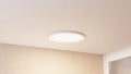 QUOIZEL, OUTSKIRTS FLUSH MOUNT, FLUSH MOUNT CEILING LIGHTS