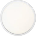 QUOIZEL, OUTSKIRTS FLUSH MOUNT, FLUSH MOUNT CEILING LIGHTS