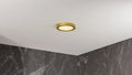 QUOIZEL, OUTSKIRTS FLUSH MOUNT, FLUSH MOUNT CEILING LIGHTS