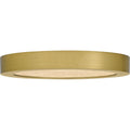 QUOIZEL, OUTSKIRTS FLUSH MOUNT, FLUSH MOUNT CEILING LIGHTS