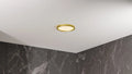 QUOIZEL, OUTSKIRTS FLUSH MOUNT, FLUSH MOUNT CEILING LIGHTS