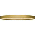 QUOIZEL, OUTSKIRTS FLUSH MOUNT, FLUSH MOUNT CEILING LIGHTS