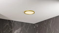 QUOIZEL, OUTSKIRTS FLUSH MOUNT, FLUSH MOUNT CEILING LIGHTS