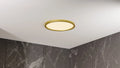 QUOIZEL, OUTSKIRTS FLUSH MOUNT, FLUSH MOUNT CEILING LIGHTS