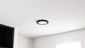 QUOIZEL, OUTSKIRTS FLUSH MOUNT, FLUSH MOUNT CEILING LIGHTS