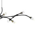 QUOIZEL, CORA ISLAND CHANDELIER, LINEAR LIGHT
