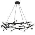 QUOIZEL, CORA PENDANT, PENDANT LIGHT
