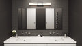 QUOIZEL, GEMINI BATH LIGHT, BATH VANITY LIGHT