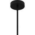 QUOIZEL, LUCA PENDANT, PENDANT LIGHT