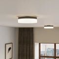 QUOIZEL, COHEN FLUSH MOUNT, FLUSH MOUNT CEILING LIGHTS