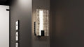 QUOIZEL, WINTER WALL SCONCE, WALL SCONCES