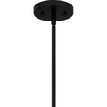 QUOIZEL, PEREGRINE PENDANT, PENDANT LIGHT