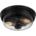 QUOIZEL, RADIUS FLUSH MOUNT, FLUSH MOUNT CEILING LIGHTS