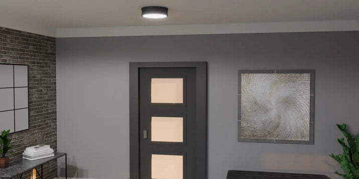 QUOIZEL, QUOIZEL FIXTURE, FLUSH MOUNT CEILING LIGHTS